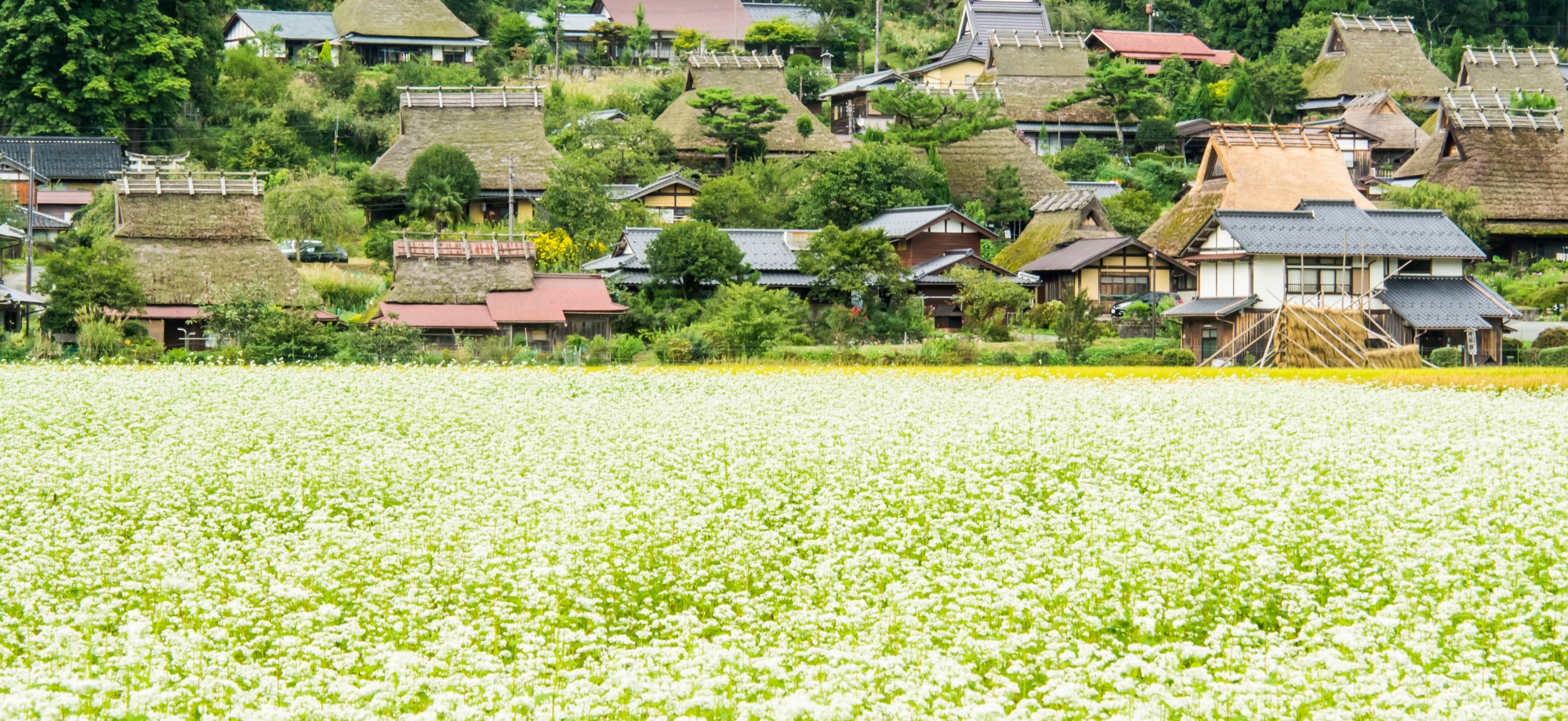 美山塔 京都 美山ナビ | 日本の原風景が残る京都・美山町の観光情報サイト