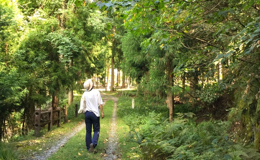 《京都駅発着》美山かやぶきの里散策＆森のおさんぽツアー