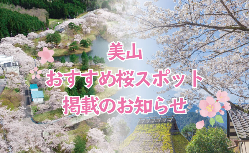 【記事掲載】『Holiday』『aumo』に美山のおすすめ桜スポットを掲載しました！