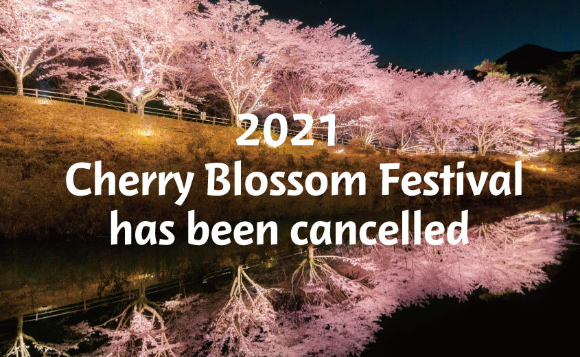 【CANCELLED】Cherry Blossom Festival