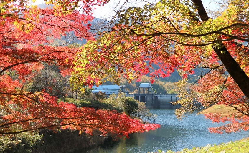 【記事掲載】Holidayにて美山の秋のおすすめスポット紹介記事を公開しました！