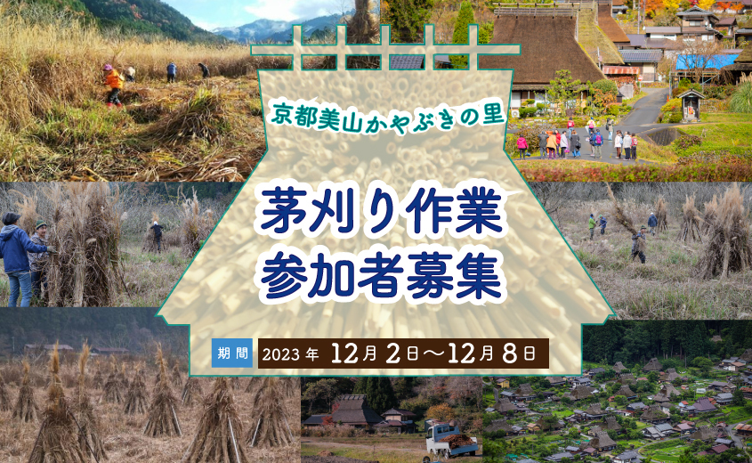【6泊7日/旅費割引有り】日本の原風景が残る美山町で茅刈り作業をお手伝い！