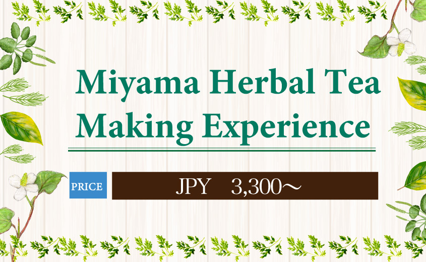 Miyama Herbal Tea Making Experience