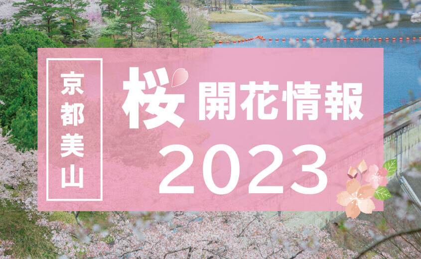 【2023年】桜の開花情報