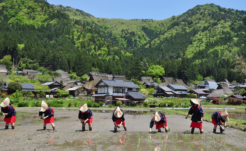 《1-DAY Bus tour》JR Kyoto ⇆Miyama Rice planting festival