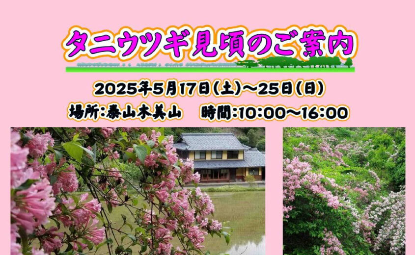 タニウツギ鑑賞会