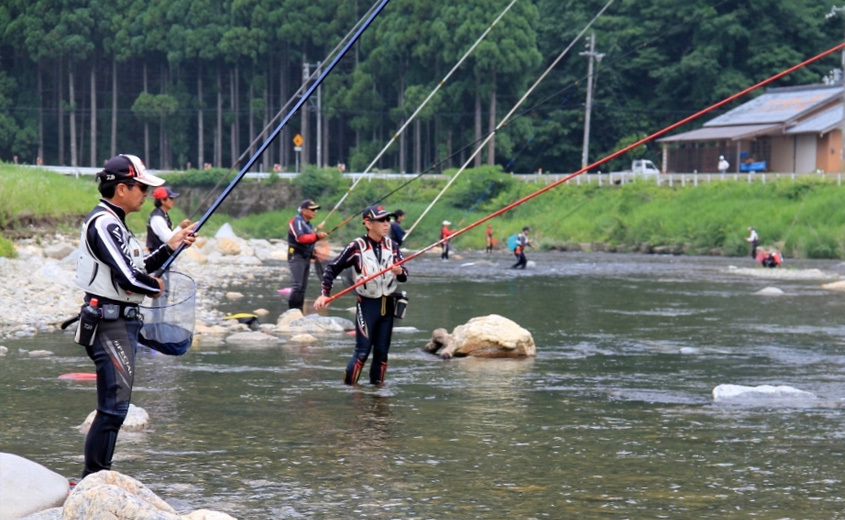 Miyama River - Ayu Fishing Open Time