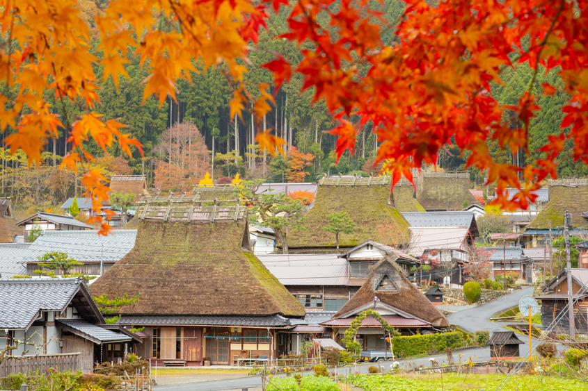 美山 の 名水