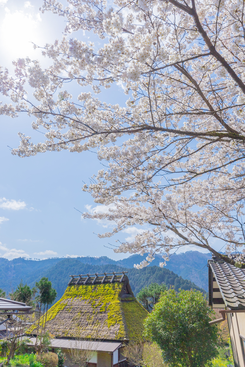 かやぶきの里 | 京都 美山ナビ | 京都 美山ナビ | 日本の原風景が残る 